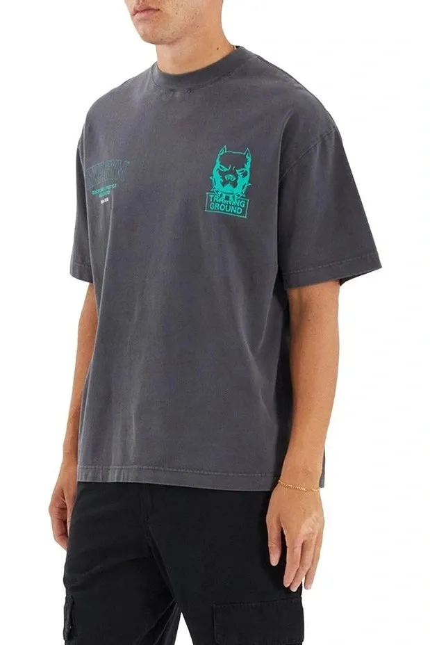 NXP Trait street tee - Pigment asphalt